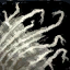 Wool Scrap